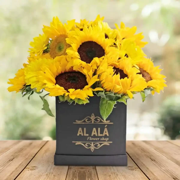 Midi Box Girasoles